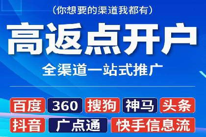 竞价广告的技巧与策略：网络推广的经典案例分享